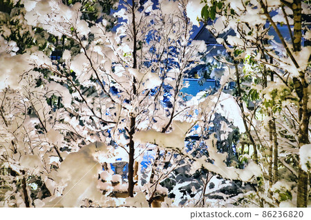 Snow falling on trees Snow falling on trees 86236820