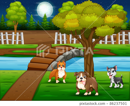 Cartoon three dogs in the nature at night - Stock Illustration [86237501] -  PIXTA