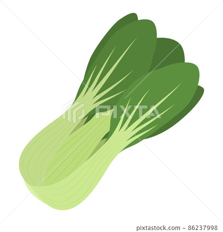 Illustration of bok choy 86237998