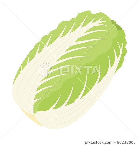 Cabbage illustration 86238003