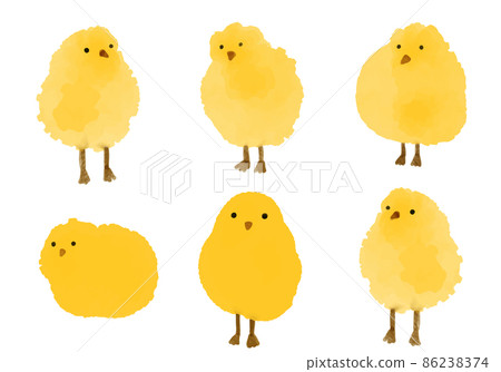 Vector illustrations of watercolor Little yellow chickens. Hand-drawn color image of chickens in watercolor style on a white background. Baby shower, Easter card design. 86238374