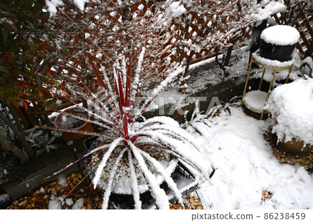 Scenery of a snowy day 86238459