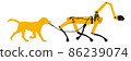 The dog walks on a leash robot dog. The concept of robotic assistants. 86239074