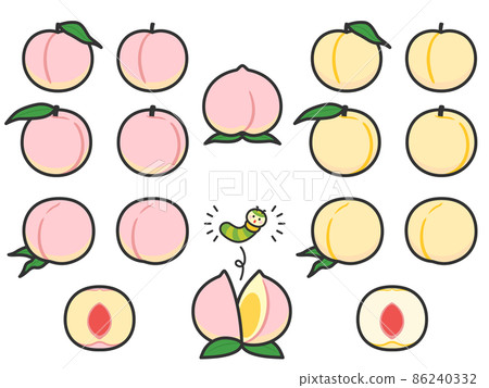 Fruit illustration variety set peach 86240332