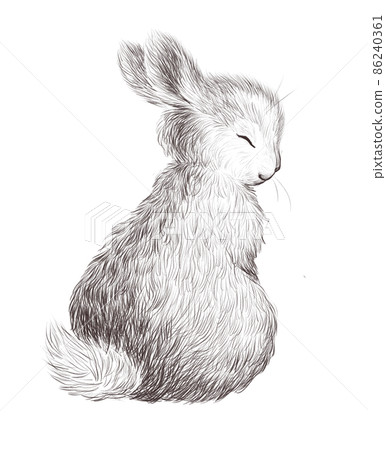 Cute bunny animal character isolated. Watercolor hand drawn sketch illustration. For prints, baby cards, sublimation, nursery designs. Cute bunny animal character isolated. Watercolor hand drawn sketch illustration. For prints, baby cards, sublimation, nursery designs. 86240361
