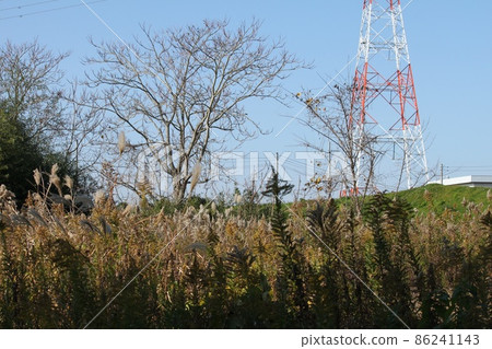 Power lines and grasslands Power lines and grasslands 86241143