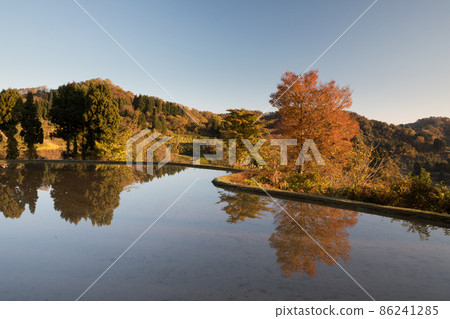 Rice terraces water mirror and autumn leaves Rice terraces water mirror and autumn leaves 86241285