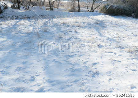 有嚴寒和雪的休耕地 有嚴寒和雪的休耕地 86241585