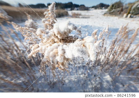Snow-capped Seidaka Awadachisou in fallow fields Snow-capped Seidaka Awadachisou in fallow fields 86241596