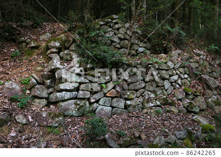 觀城山城 86242265