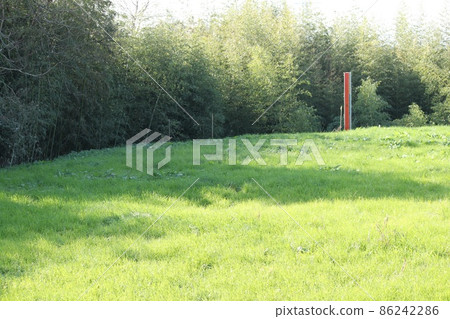 草地 草地 86242286