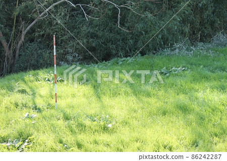 草地 86242287