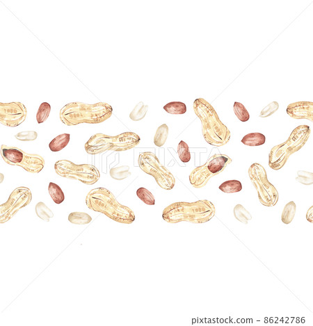 Seamless border with peanuts on white. Edible raw groundnuts. Hand drawn watercolor illustration of organic grain for packaging design, label, banner Seamless border with peanuts on white. Edible raw groundnuts. Hand drawn watercolor illustration of organic grain for packaging design, label, banner 86242786