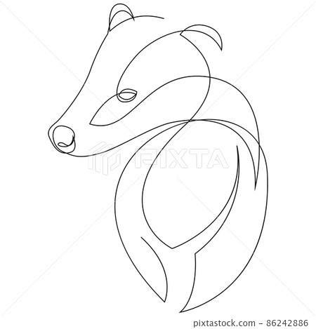 Badger drawn in single continuous line style. Vector illustration Badger drawn in single continuous line style. Vector illustration 86242886