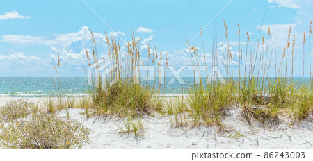 sunny beach with sand dunes and blue sky 86243003