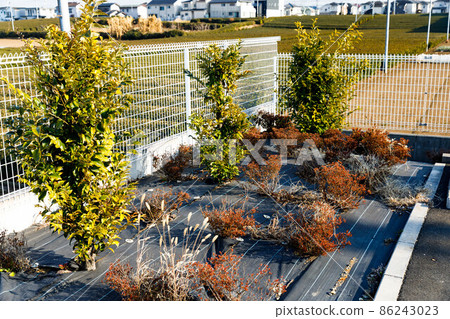 種植用雜草控製表 86243023