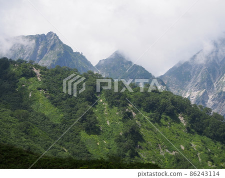 Happo One 86243114
