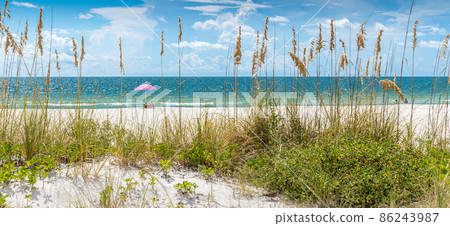 Pink umbrella 86243987