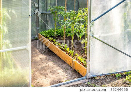 greenery in the garden with oped door greenery in the garden with oped door 86244666