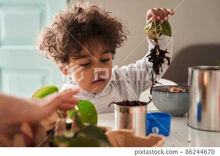 Little curly boy holding plant at his hands while helping to his mother replacing flowers Little curly boy holding plant at his hands while helping to his mother replacing flowers 86244670