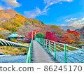 Suspension bridge, blue sky and autumn leaves 86245170