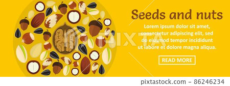 Seeds and nuts banner horizontal concept 86246234