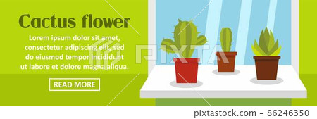 Cactus flower banner horizontal concept 86246350
