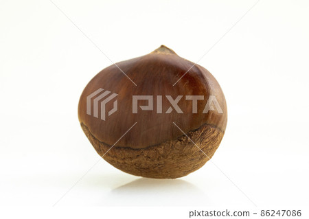 chestnuts, autumn food, nuts, berries, chestnuts, autumn cuisine, ナッツ, ベリー, chestnuts, 86247086