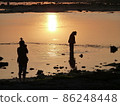日落時在海灘上的情侶暮光之城 86248448