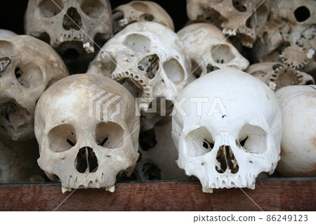 Human skulls in a Killing Fields memorial 86249123