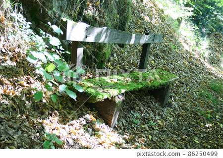 Resting place Resting place 86250499