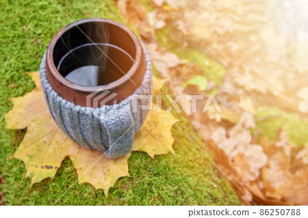 Clay mug with steam on the moss, green and golden background of sunny autumn forest. Copy space. Clay mug with steam on the moss, green and golden background of sunny autumn forest. Copy space. 86250788