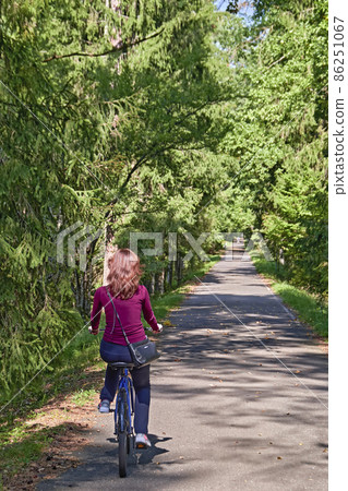 Girl on a bicycle rides through a sunny summer park. Rear view. Girl on a bicycle rides through a sunny summer park. Rear view. 86251067