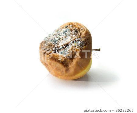 Rotten apple close-up on a white background Rotten apple close-up on a white background 86252265