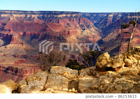 Grand Canyon Arizona 86253613
