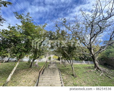 沖繩那霸寒川綠地公園 沖繩那霸寒川綠地公園 86254536