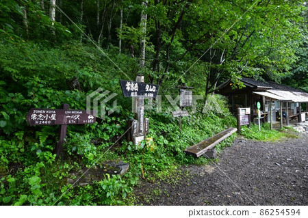 Early morning Ichinosawa mountain trail leading to Mt. Jonen 86254594