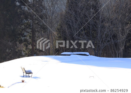 下雪的長凳 86254929