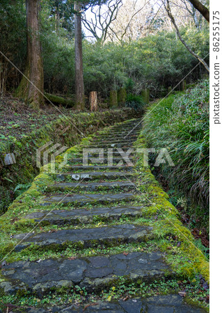 [Kanagawa] Hakone 200 Stairs 86255175