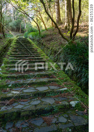 [神奈川]箱根200樓梯 86255189