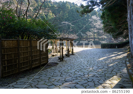 [神奈川]箱根200樓梯 86255190