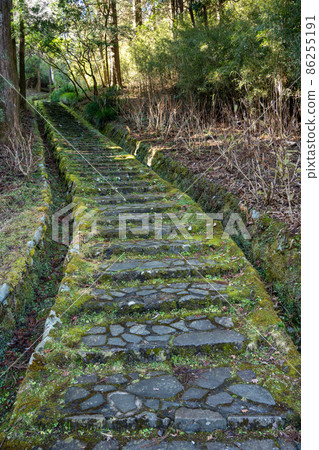 [Kanagawa] Hakone 200 Stairs 86255191