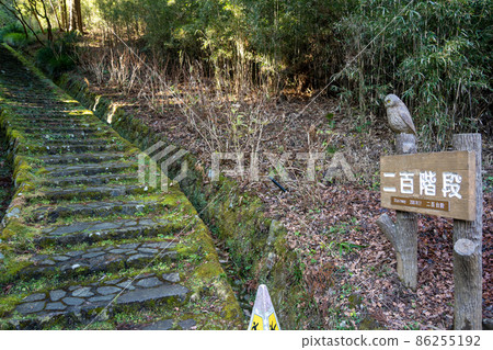 [神奈川]箱根200樓梯 86255192