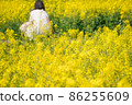 A woman in a rape field 86255609