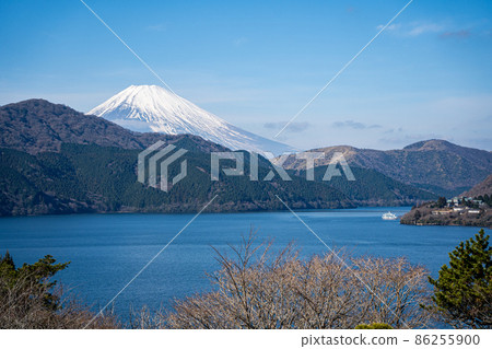 [Kanagawa] Kanagawa Prefectural Onshi-Hakone Park 86255900