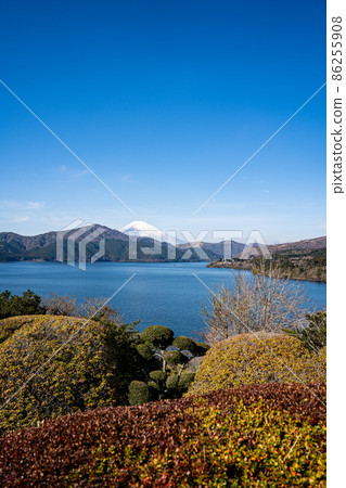 [Kanagawa] Kanagawa Prefectural Onshi-Hakone Park 86255908