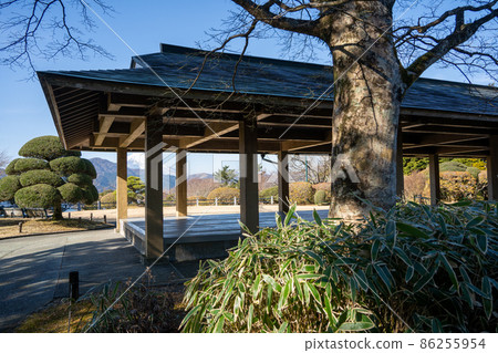 [Kanagawa] Kanagawa Prefectural Onshi-Hakone Park 86255954