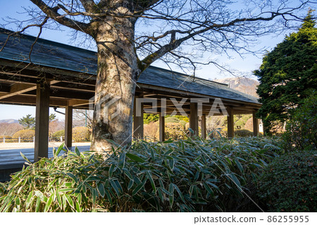 [神奈川]神奈川縣立恩師箱根公園 86255955