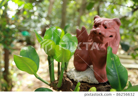 沖繩的監護人神Shisa 沖繩的監護人神Shisa 86256632