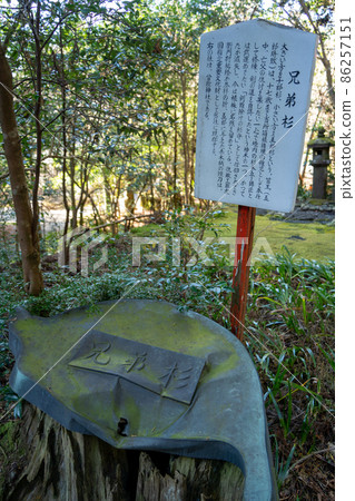 [Kanagawa] Hakone Shrine 86257151